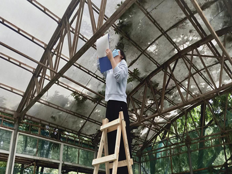 房屋結(jié)構(gòu)安全性檢測(cè)怎么做