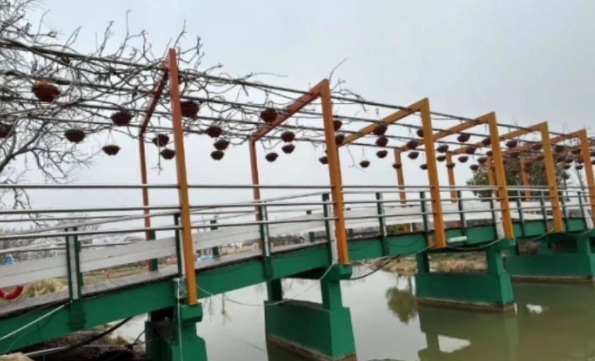 伊犁吊橋主鎖斷裂，景區(qū)橋梁為什么需要定期做安全評估？